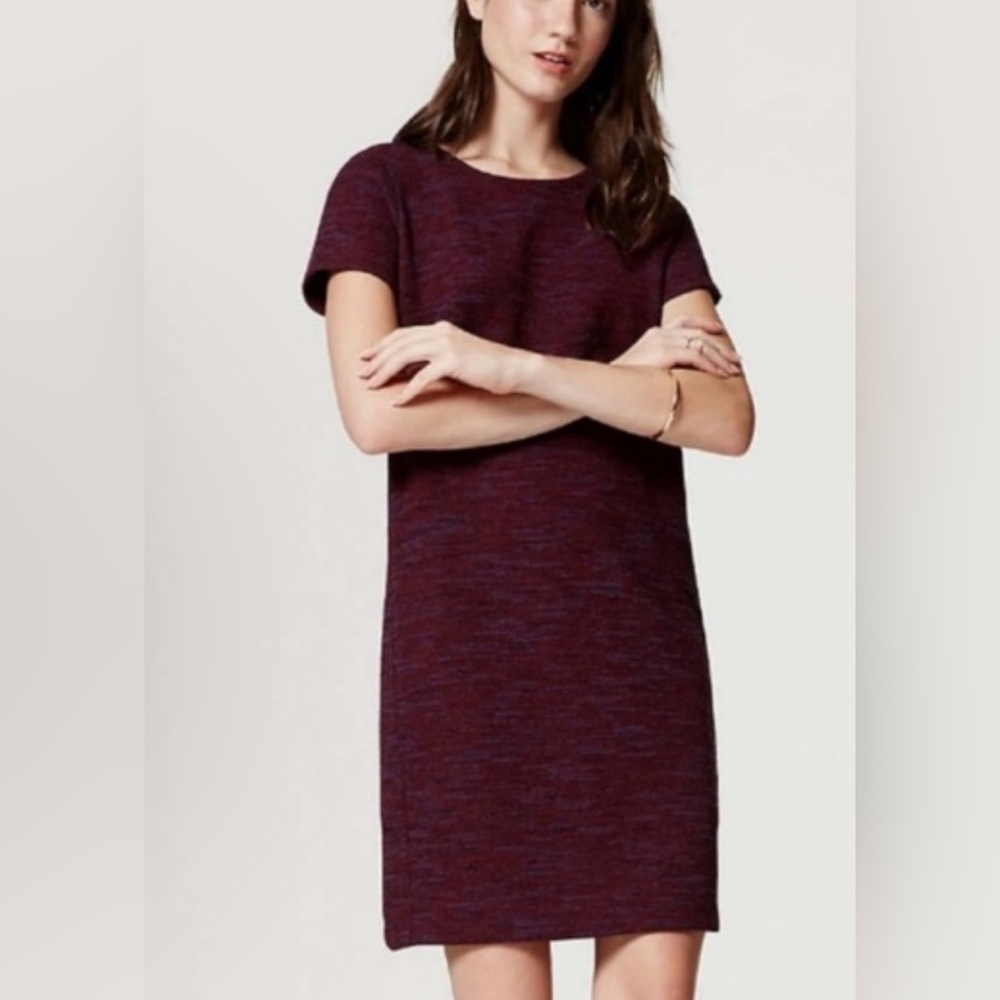 LOFT  Dress.Size 4